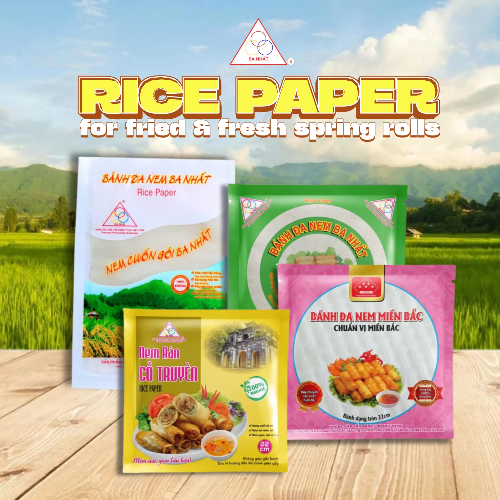 Bên Trong Dây Chuyền Sản Xuất Bánh Tráng Xuất Khẩu: Tiêu Chuẩn Chất Lượng Dành Cho Thị Trường Quốc Tế